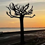 Maison De Famille Les Pins 度假居 La Baule