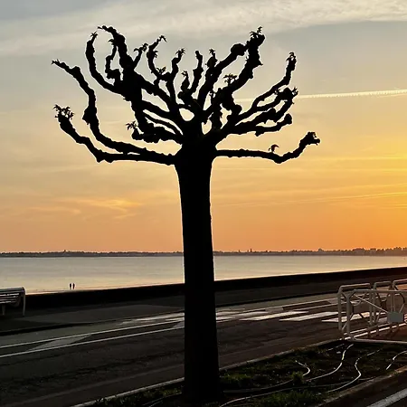 Maison De Famille Les Pins Сasa de vacaciones La Baule-Escoublac