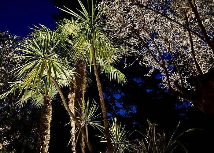 Vakantiehuis Maison De Famille Les Pins