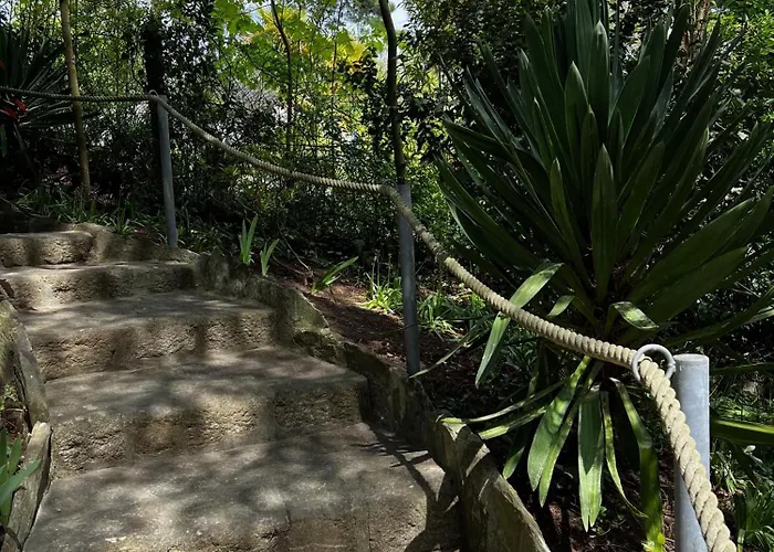 Maison De Famille Les Pins